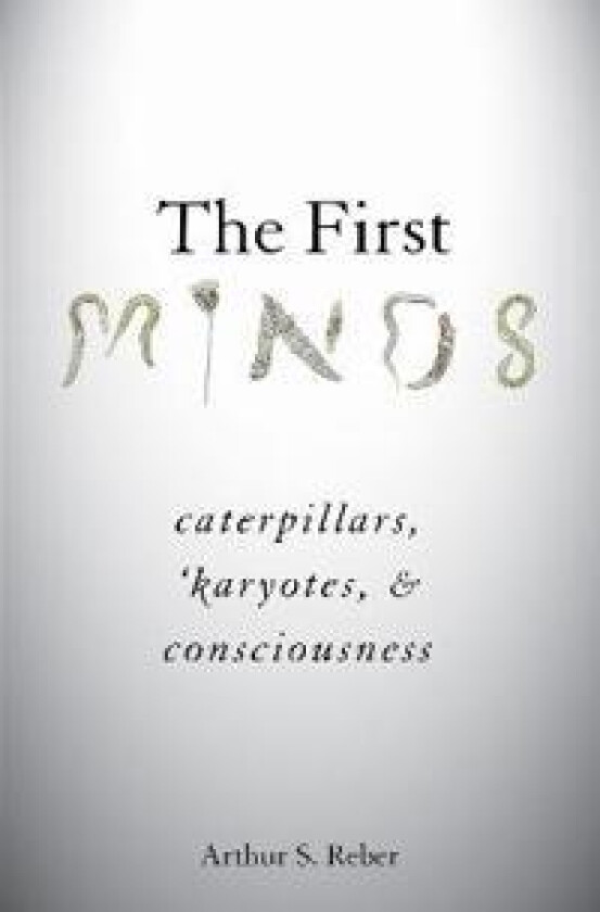 The First Minds