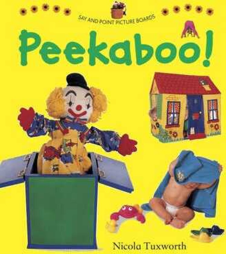 Say and Point Picture Boards: Peekaboo!