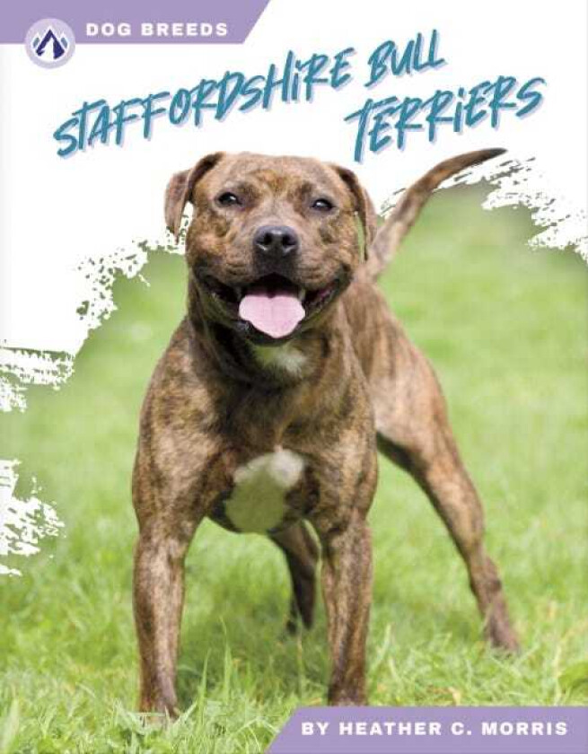Dog Breeds: Stafforshire Bull Terriers