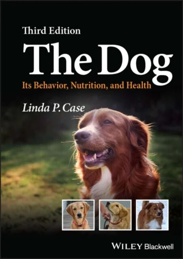 The Dog av Linda P. (AutumnGold Dog Training Center Mahomet Illinois USA) Case
