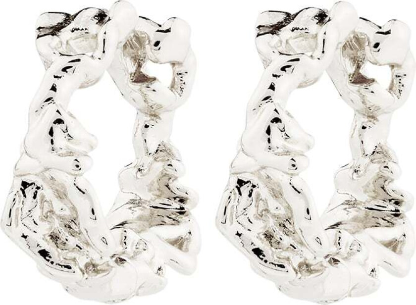 Trust Earrings Silverplated -Øreringer