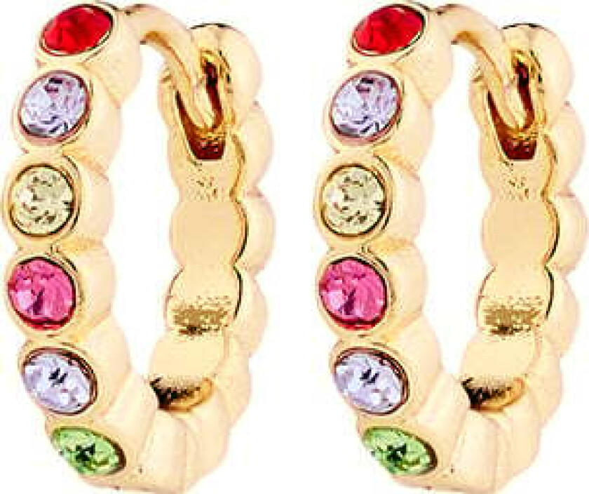 Kleopratra Earrings Goldplated -Øreringer