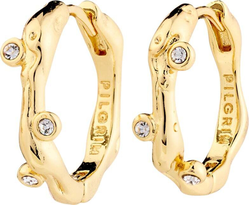 Hermione Crystal Hoop Earrings Goldplated -Øreringer