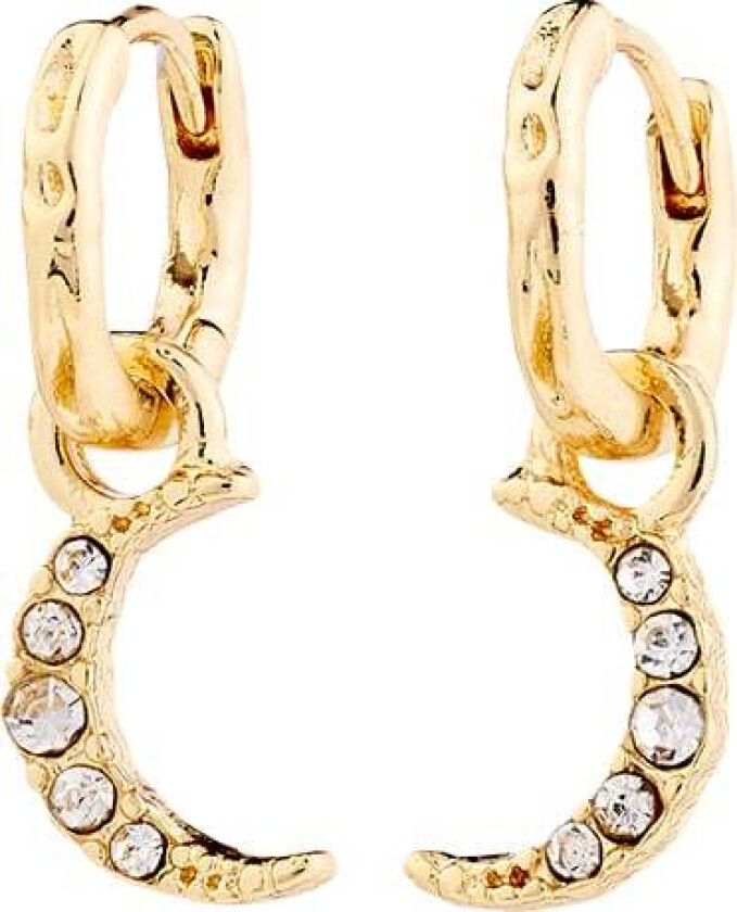 Evgenia Earrings Goldplated -Øreringer