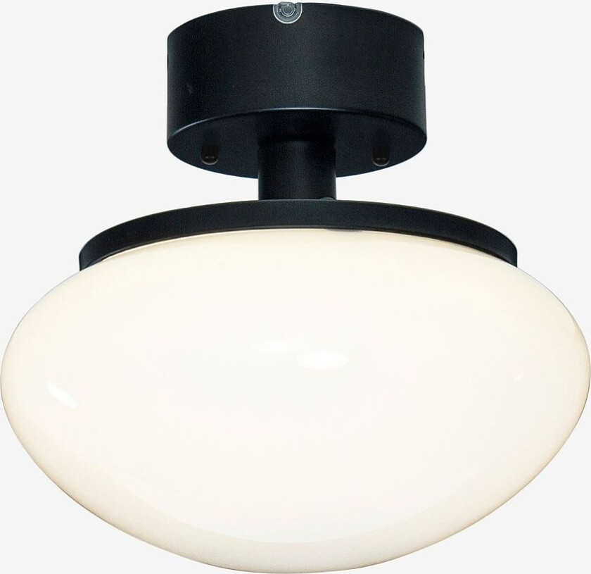 Innfelt New August, Svart