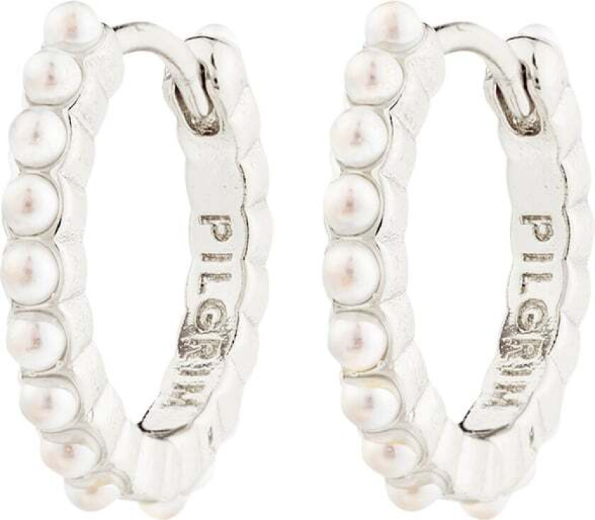 Kalia Earrings Silverplated -Øreringer