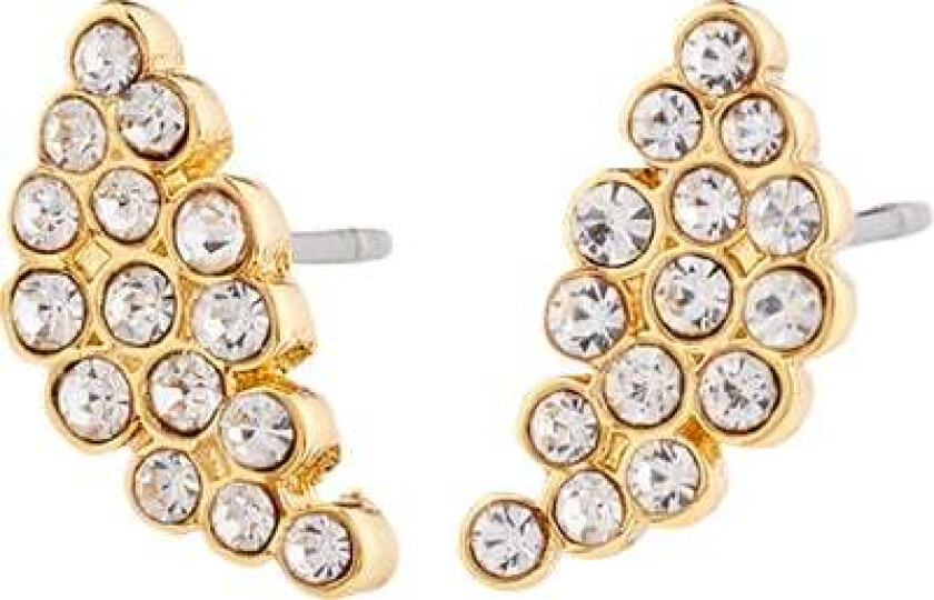 Berenike Earrings Goldplated -Øreringer