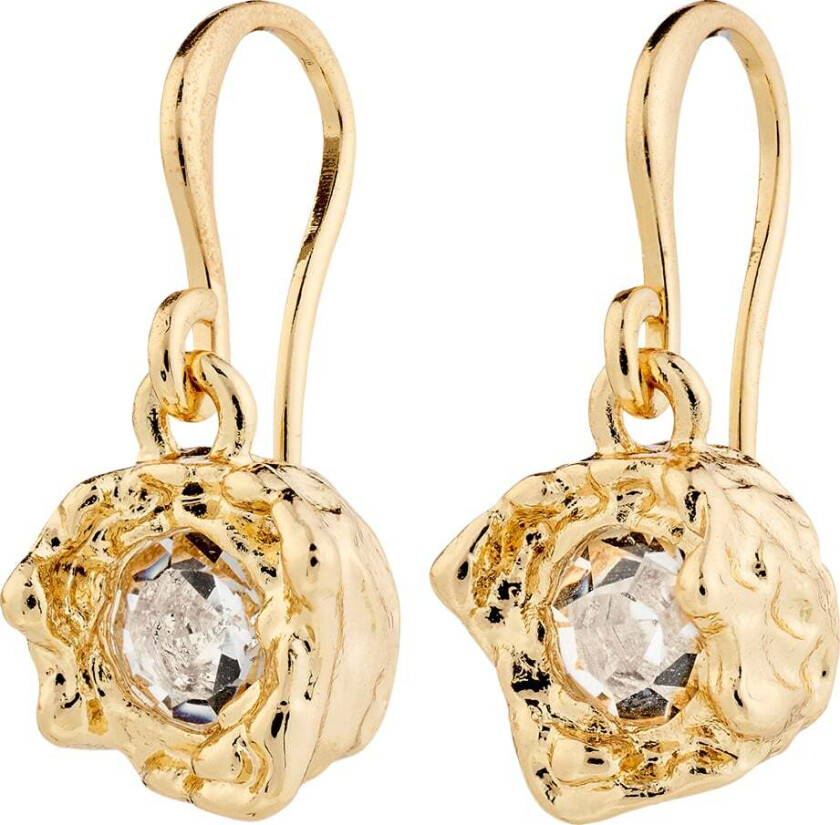 Callum Earrings Goldplated -Øreringer