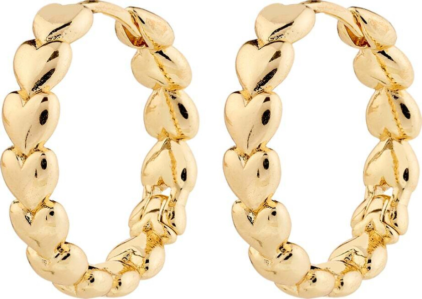 Maeve Hoop Earrings Goldplated -Øreringer