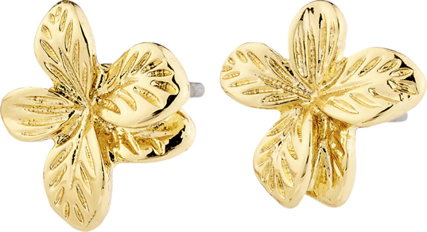 Charmaine Earrings Goldplated -Øreringer