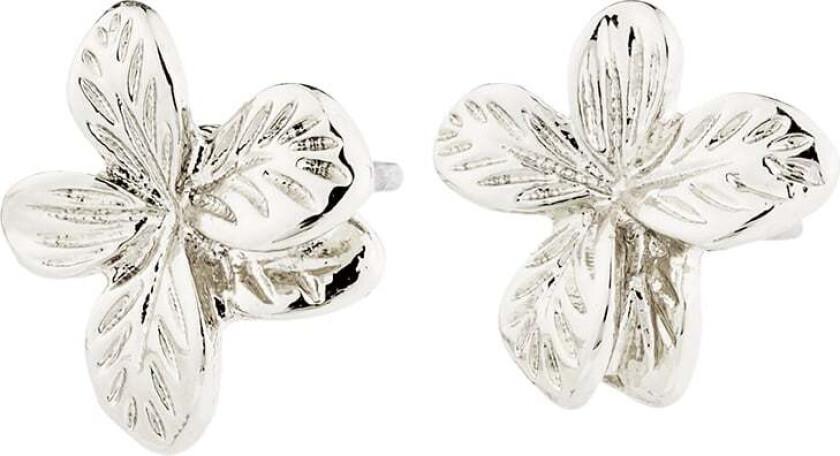 Charmaine Earrings Silverplated -Øreringer