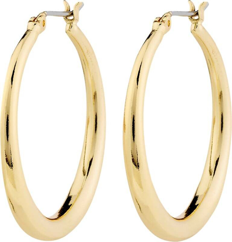 Jorun Hoop Earrings Goldplated -Øreringer