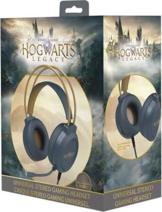 Harry Potter - Dual headset microphone for PC/PS4/PS5/XBOXONE/SWITCH