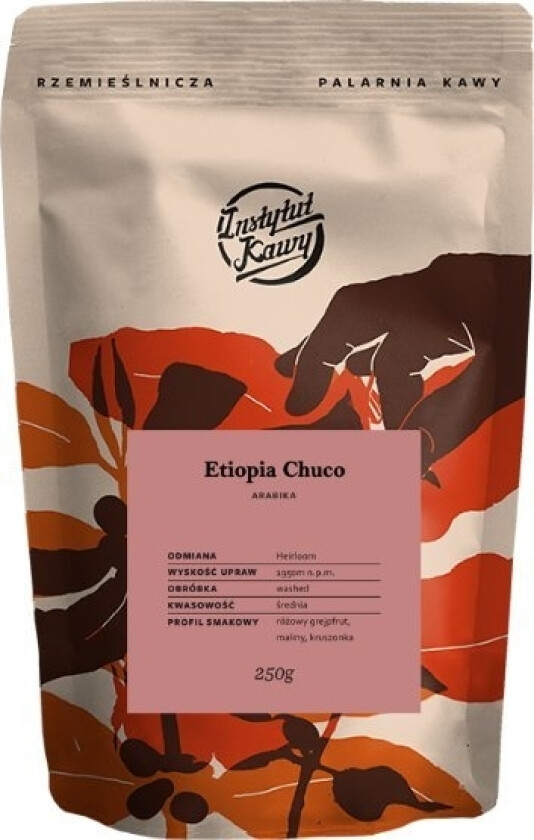 Coffee Plant Ethiopian Chuco Kaffebønner 250 G
