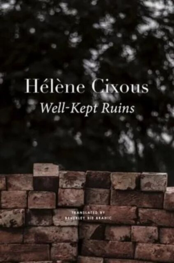 Well¿Kept Ruins av Helene Cixous, Beverley Bie Brahic