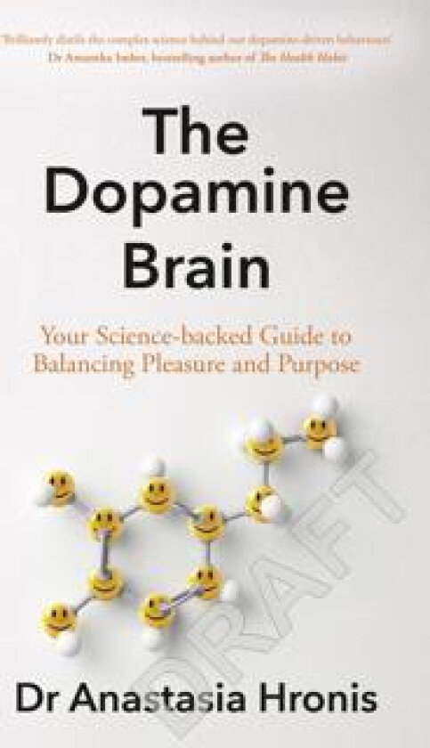 The Dopamine Brain
