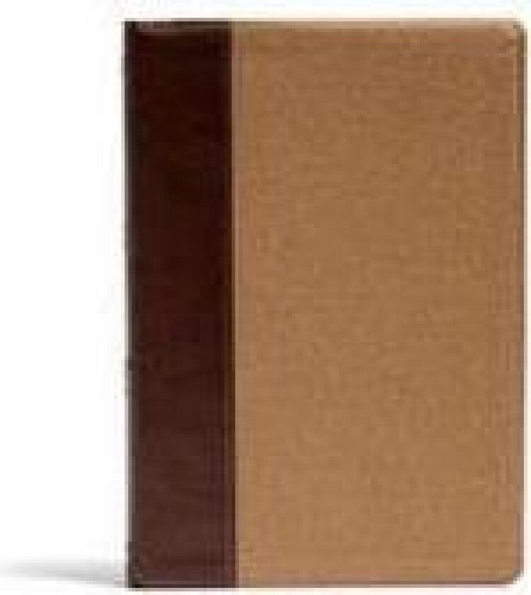 KJV Rainbow Study Bible, Brown/Tan LeatherTouch