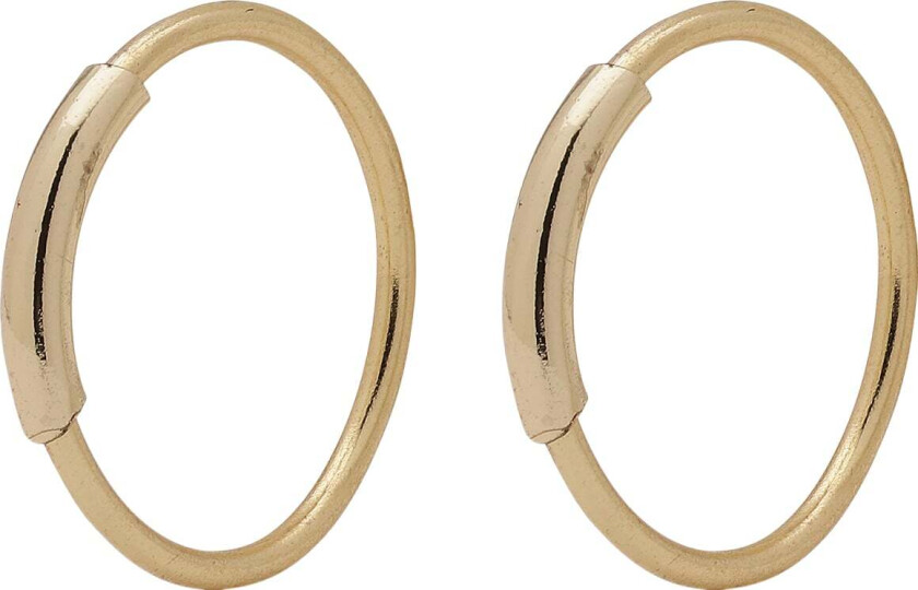 Raquel Mini Hoop Earrings Goldplated - Kreoler