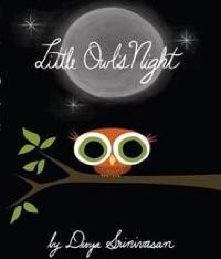 Little Owl's Night