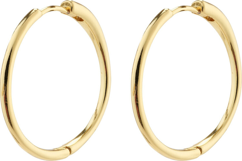 Eanna Large Hoops Goldplated - Kreoler