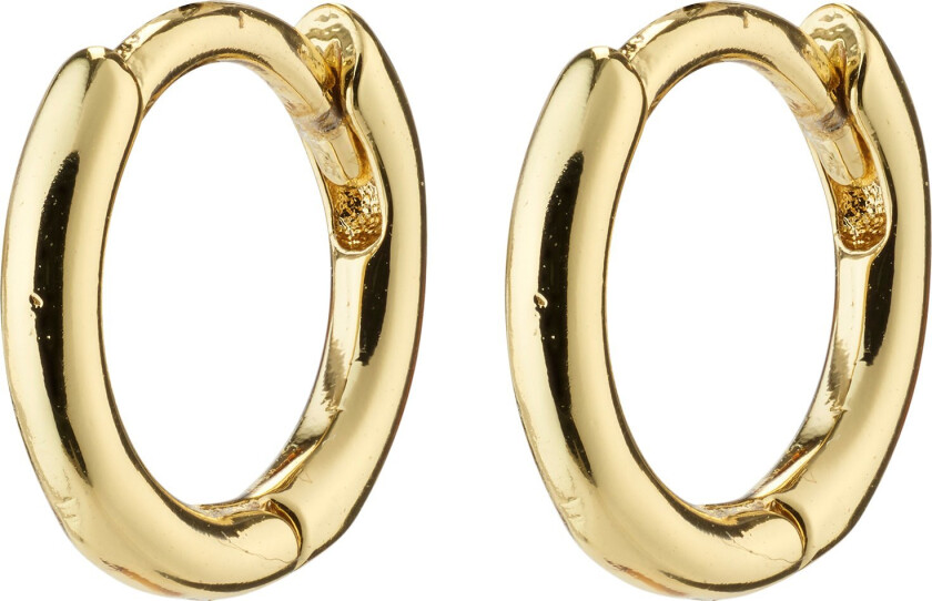 Eanna Huggie Hoops Goldplated - Kreoler