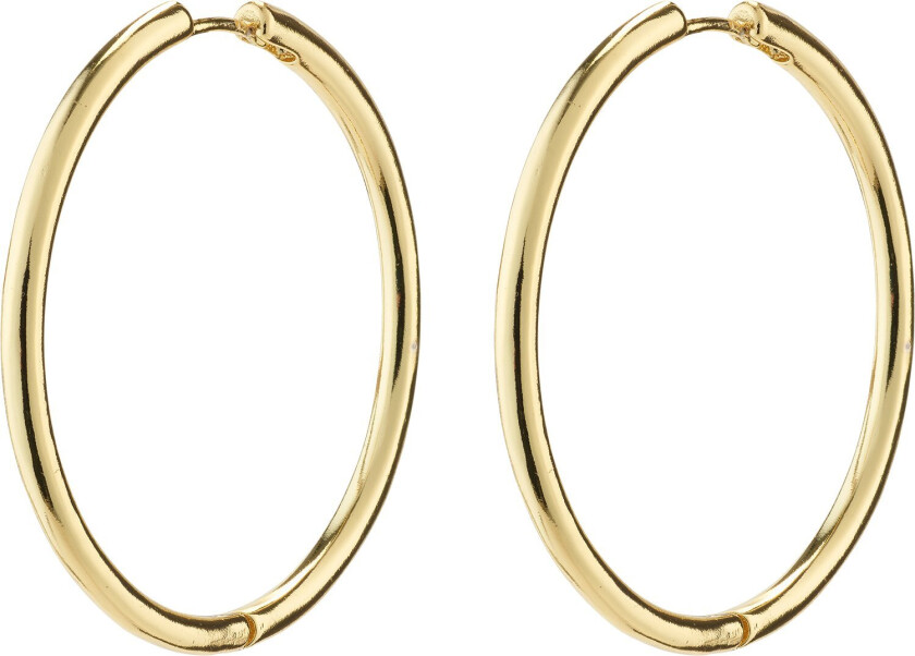Eanna Maxi Hoops Goldplated - Kreoler