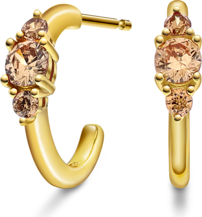 Rio Radiance øredobber i forgylt 925 sølv med champagne zirkonia