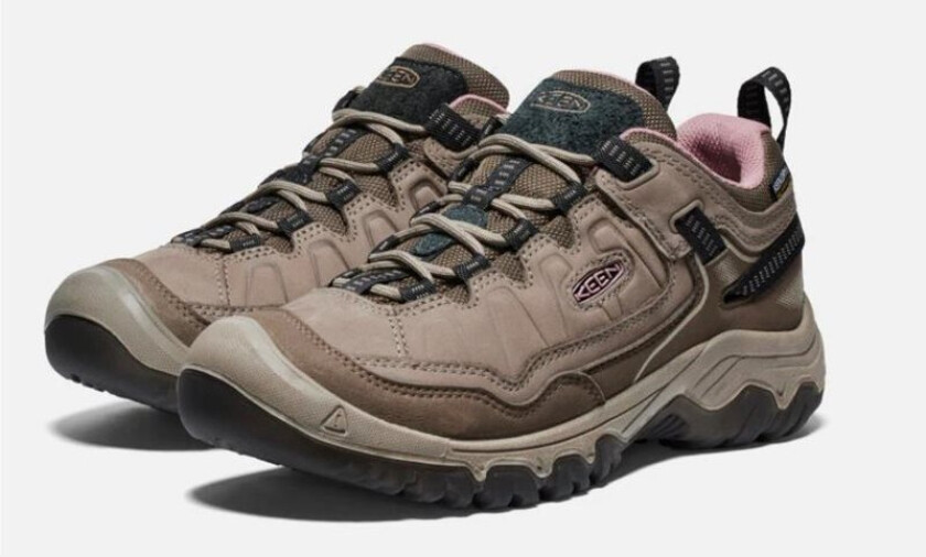 Targhee IV WP W Brindle-Nostalg Rose
