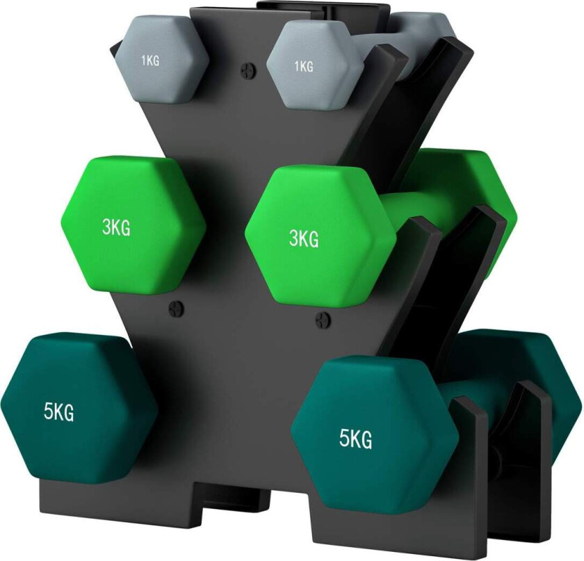 Hantelsett 6 manualer med manualstativ, 2 x 1 kg, 2 x 3 kg, 2 x 5 kg metallhåndvektsett for trening, gymnastikk, hjemme