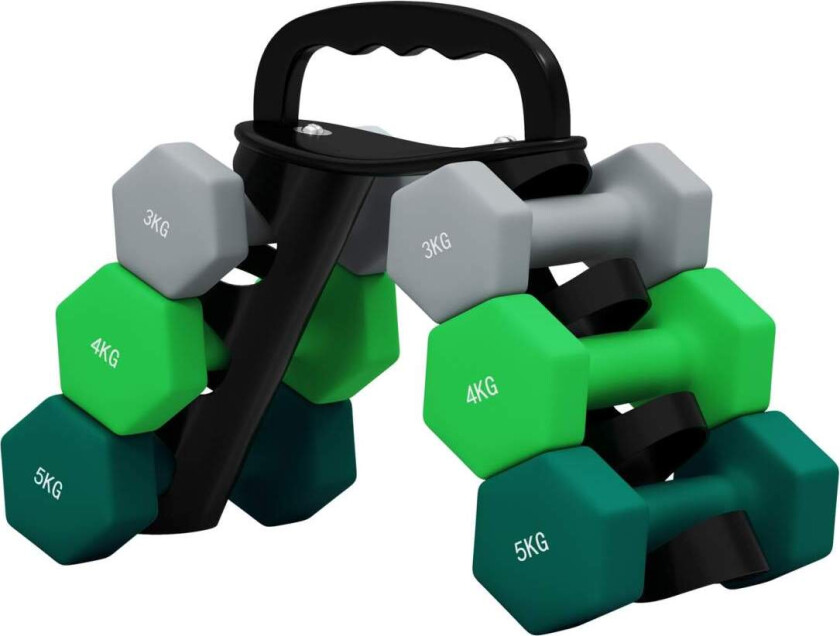 Bilde av Sett med 6 manualer 2 x 3 kg, 2 x 4 kg, 2 x 5 kg, manualsett med stativ, hexagon manualsett, for styrketrening, fitness hjemmetr