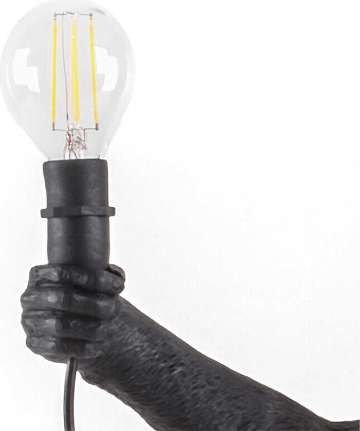 Pære LED 2W E14 V2 for Monkey Lamp Utendørs