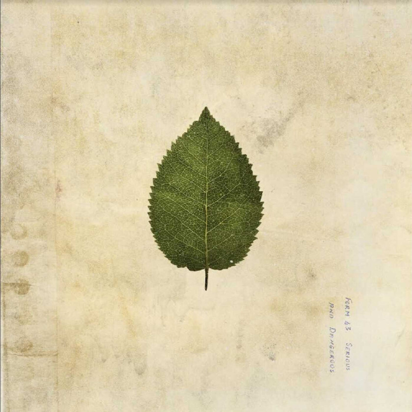 The Boxer Rebellion The Cold Still LP/Vinyl