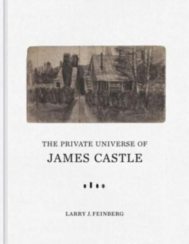 The Private Universe of James Castle av Larry J. Feinberg