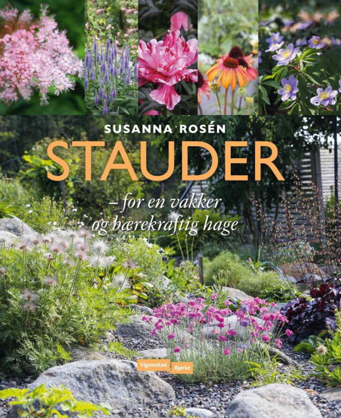 Stauder