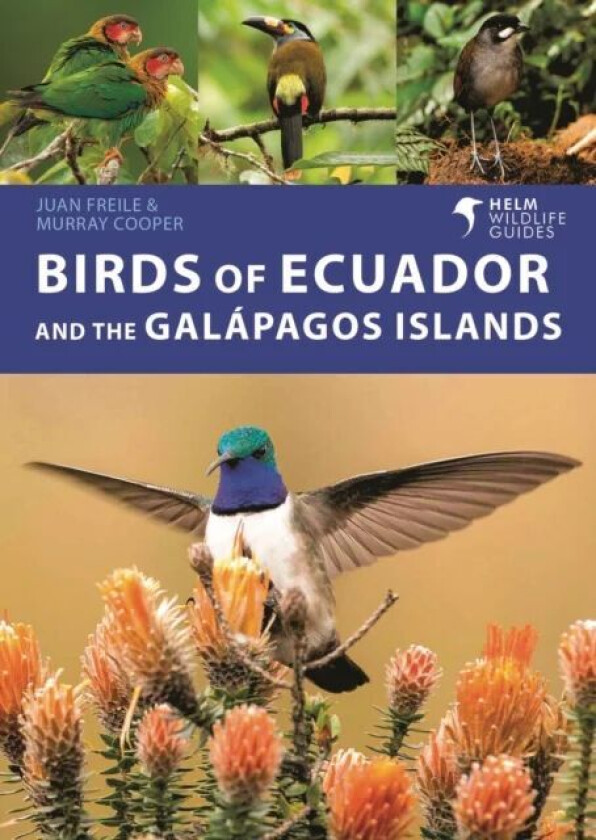 Birds of Ecuador and the Galapagos Islands av Juan Freile, Murray Cooper