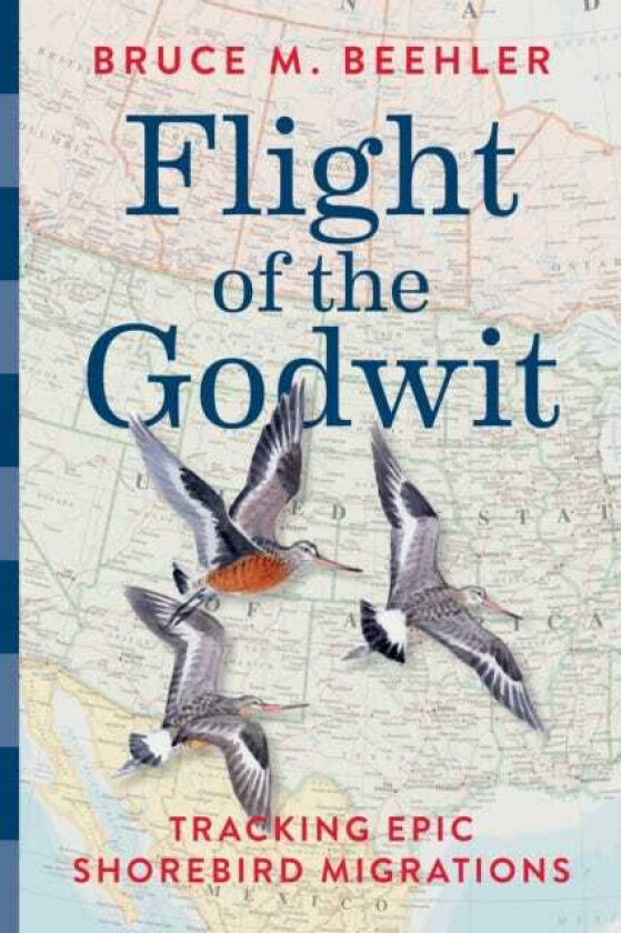 Flight of the Godwit Tracking Epic Shorebird Migrations