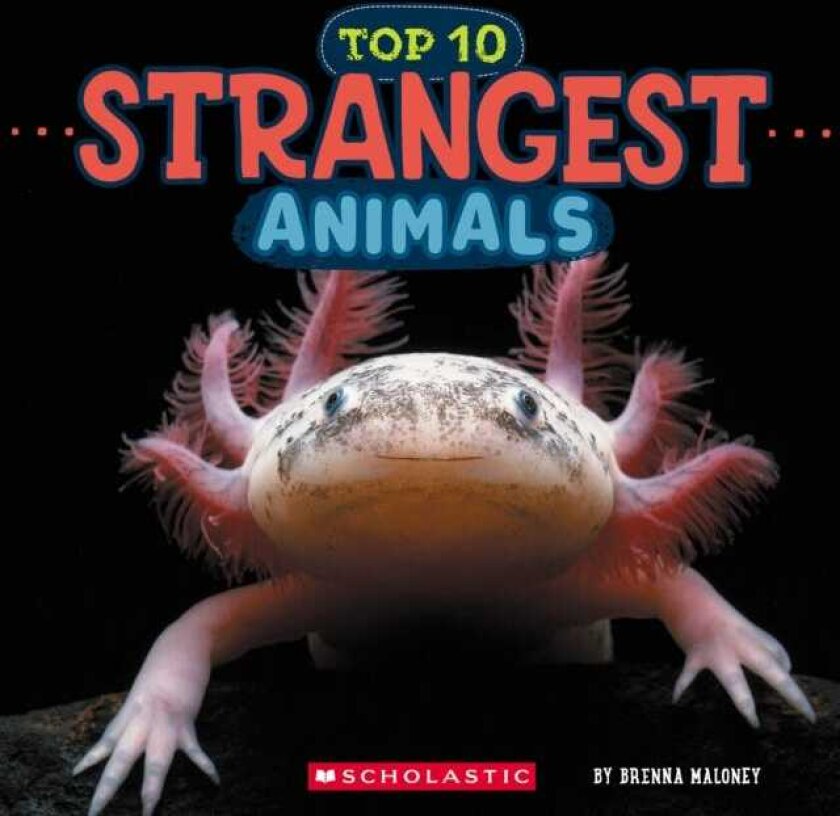 Strangest Animals (Wild World: Top 10)