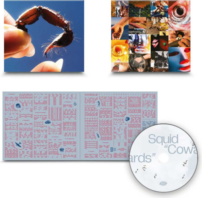 Squid Cowards CD