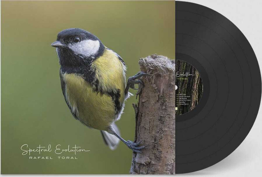 Rafael Toral Spectral Evolution LP/Vinyl