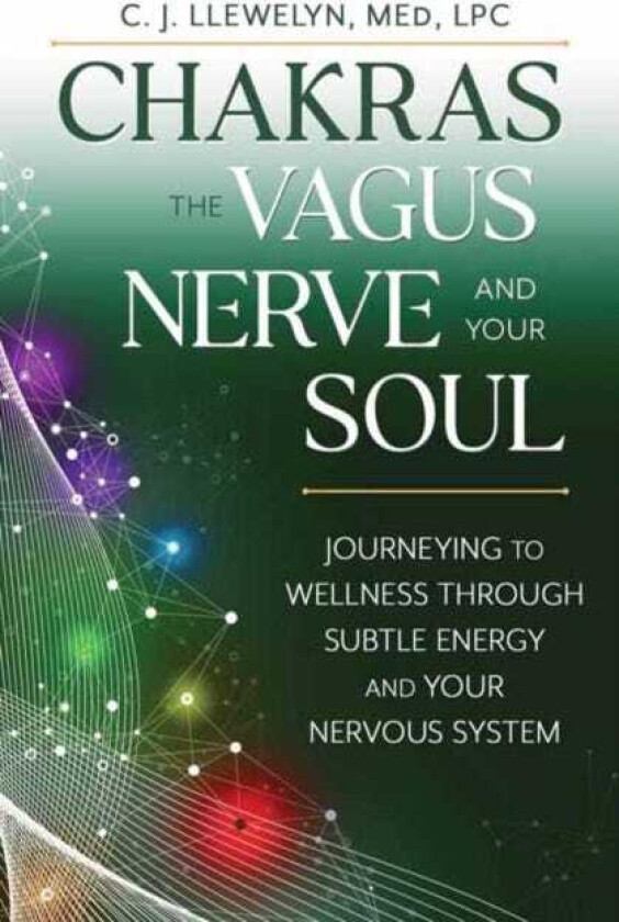 Chakras, the Vagus Nerve, and Your Soul Journeying to Wellness Through Subtle Energy and Your Nervous System