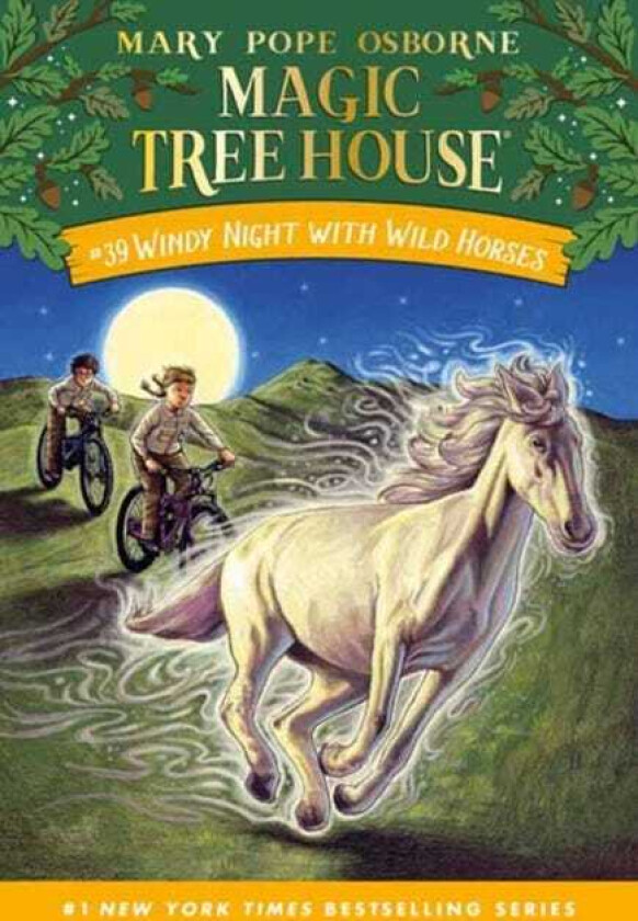 Windy Night with Wild Horses