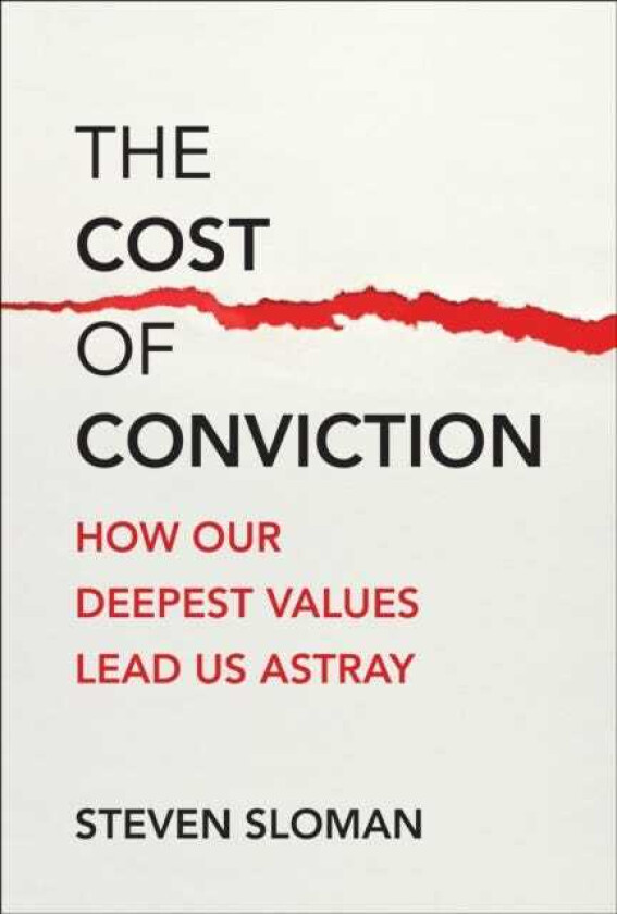 The Cost of Conviction How Our Deepest Values Lead Us Astray