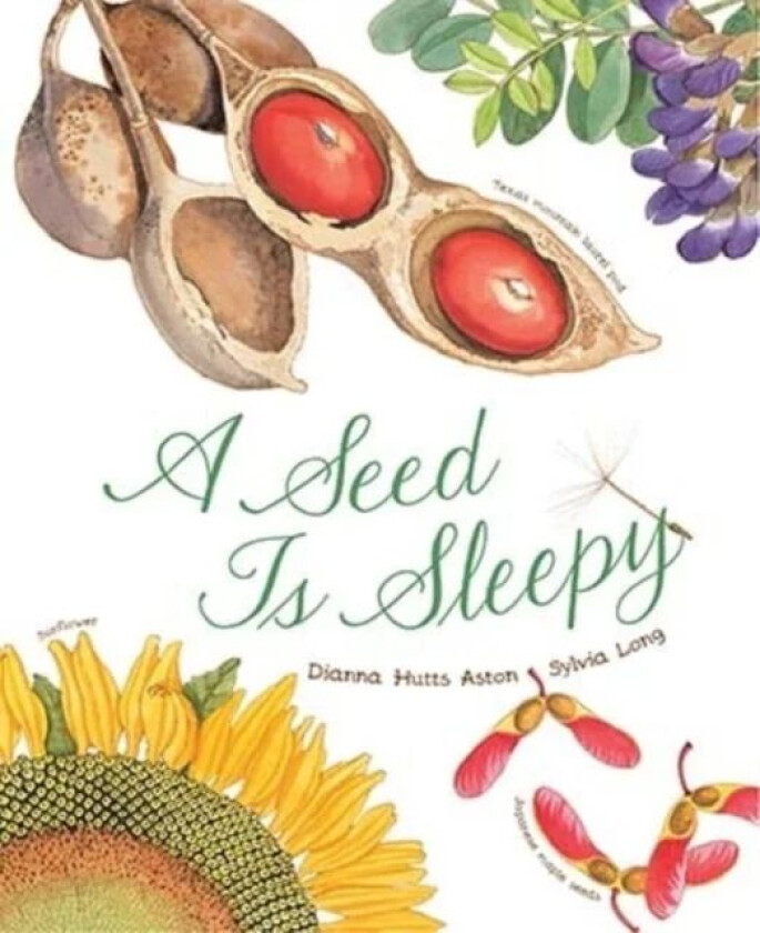 A Seed Is Sleepy av Dianna Aston