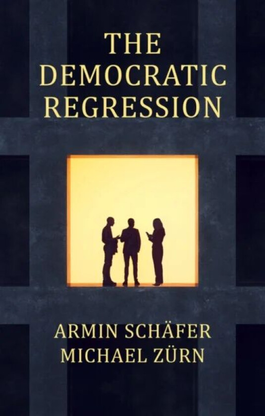 The Democratic Regression av Armin Schafer, Michael Zurn