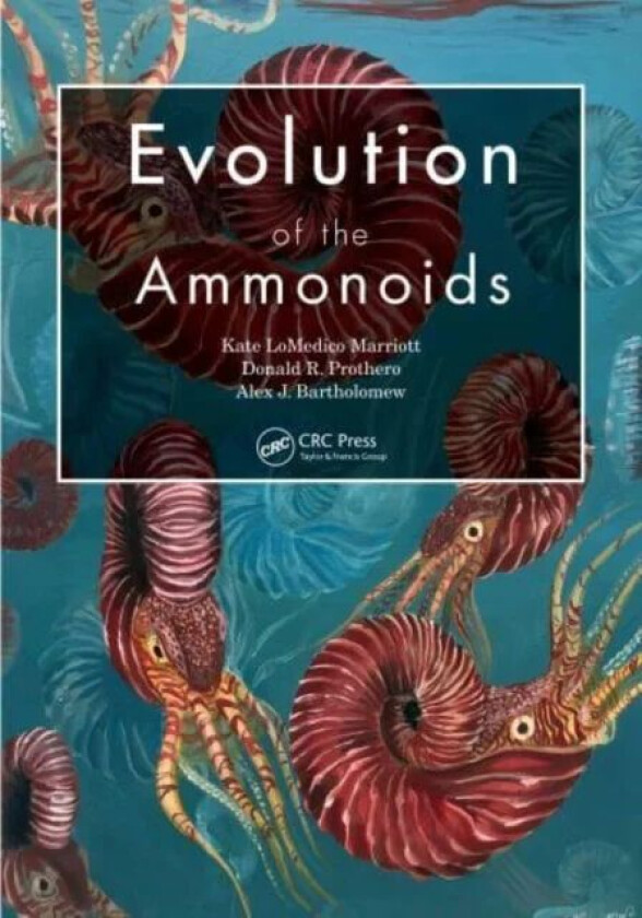 Evolution of the Ammonoids av Kate LoMedico Marriott, Alexander Bartholomew, P