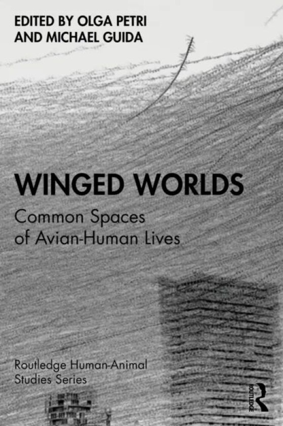 Winged Worlds