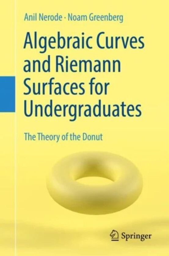 Algebraic Curves and Riemann Surfaces for Undergraduates av Anil Nerode, Noam Greenberg