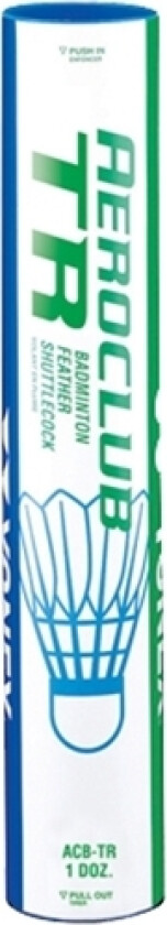 Bilde av Aeroclub TR