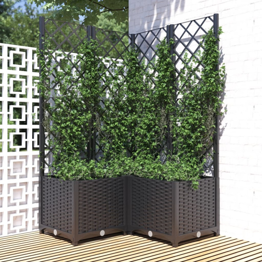 Plantekasse med espalier svart 80x80x136 cm PP