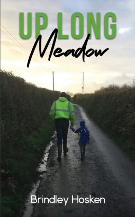 Up Long Meadow av Brindley Hosken